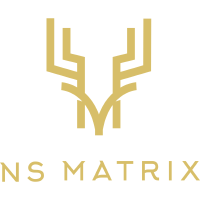 Matriks NS