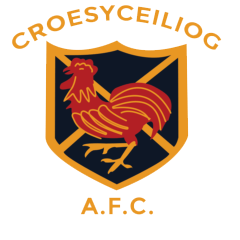 Croesyceiliog